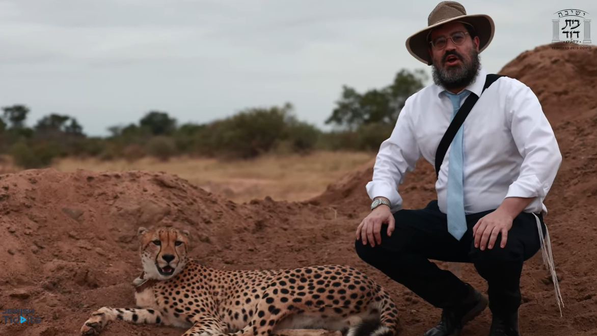 YBD Trip to South Africa 2 - Seeing Hashem Through a Cheetah