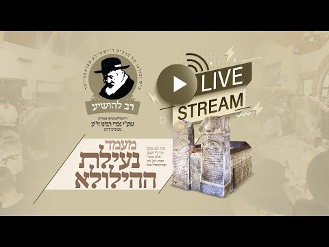 Final Hours of Reb Shayale’s Yahrtzeit Live from Kerestir