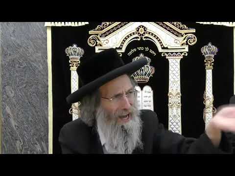 ניגונים עם ר’ מיילך | Nigunim with Reb Elimelich Biderman