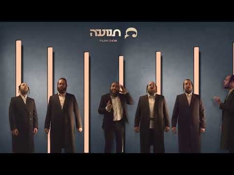 A Tnuah with Tnuah Choir #2 feat. Baruch Sholom