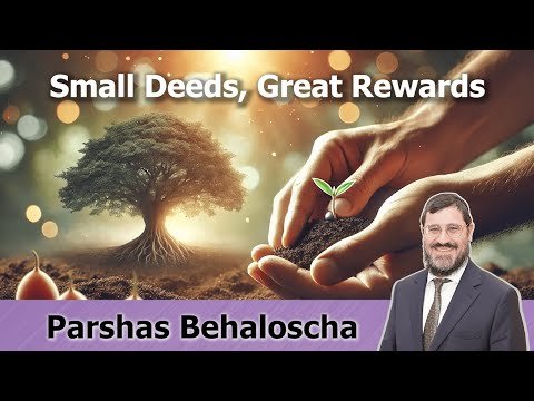-Rabbi Avi Wiesenfeld – Behaloscha 🚀 Small Deeds, Great Rewards