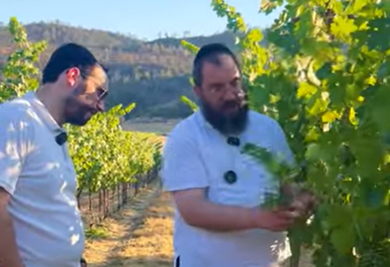 At Herzog Ridge with Moishe Mayer & Yossi Herzog – Part Two