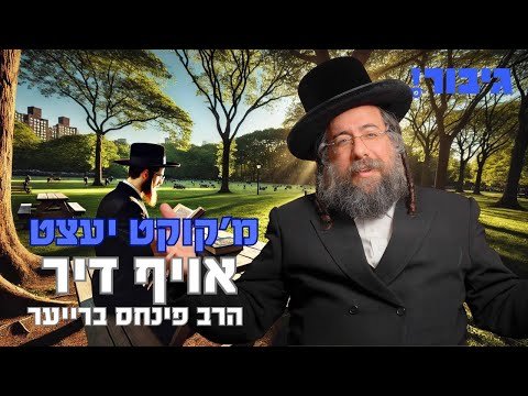 מ’קוקט יעצט אויף דיר | הרב פינחס ברייער