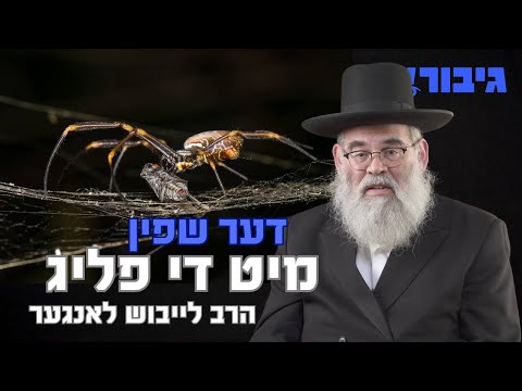 דער שפין מיט די פליג | הרב לייבוש לאנגער