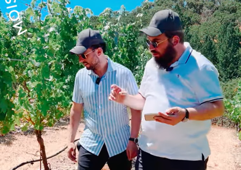 Irrigation Explained with Yossi Herzog at Herzog Ridge, California