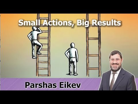 Rabbi Avi Wiesenfeld – Eikev – Small Actions Big Results