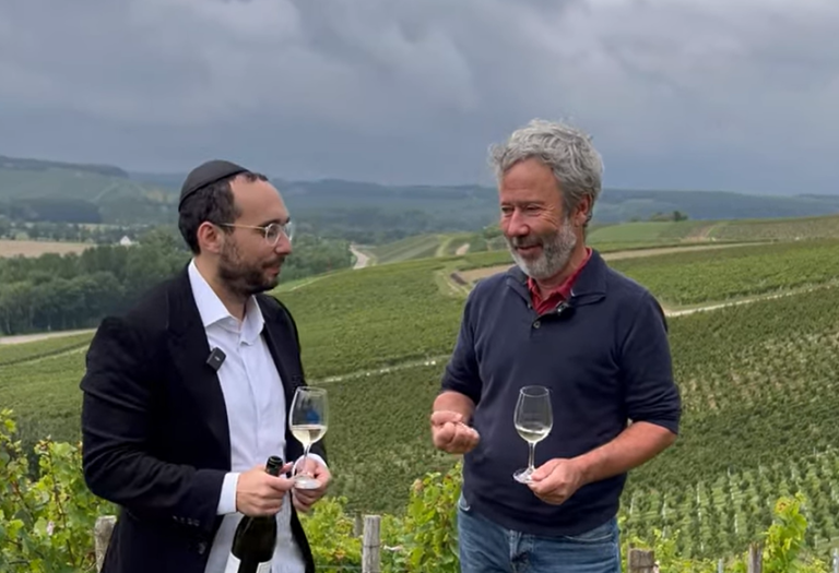 Welcome to Chablis with Winemaker Laurent Ternynck