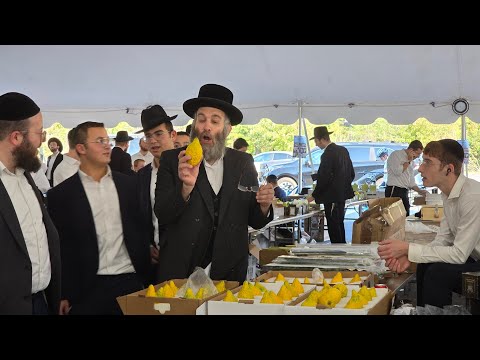 Exclusive Tour at BMG Parking Lot Arba Minim Shuk with Avrum Halprin