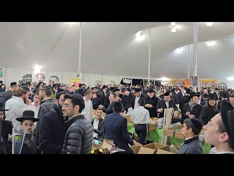 At Lakewood Shuk Erev Sukkos – Thousands Gather to bBuy their Dalet Minim for Sukkos