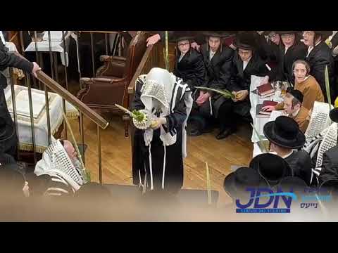 Satmar Rebbe R’ Zalman Leib During Nanuim