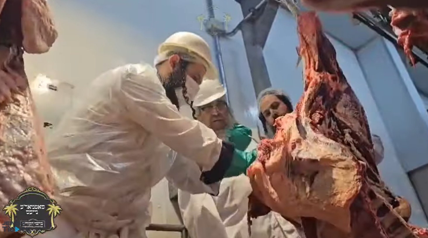 Satmar Rebbe R' Aharon Checking Out The Kosher Slaughtering House In Uruguay
