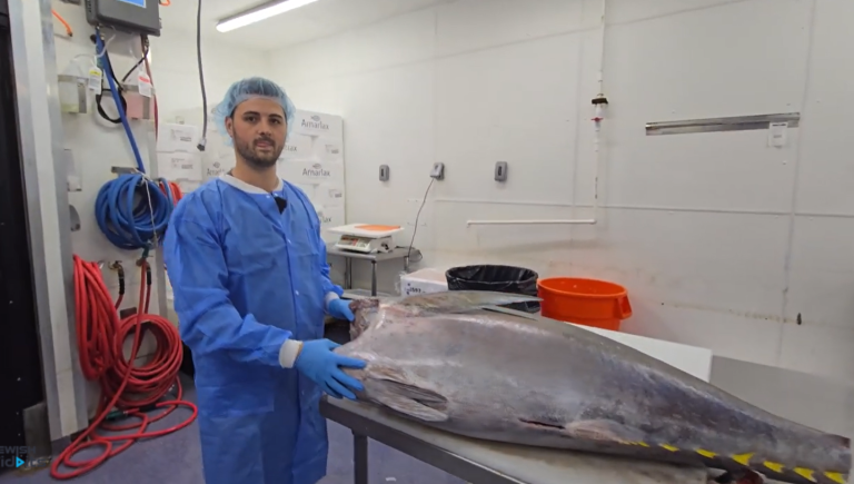 A Visit at Freund’s Famous Fish Store in Boro Park