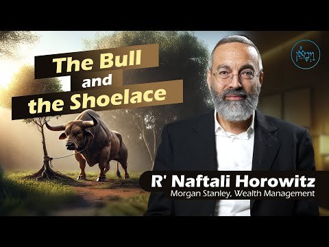 The Bull and the Shoelace | Rabbi Naftali Horowitz