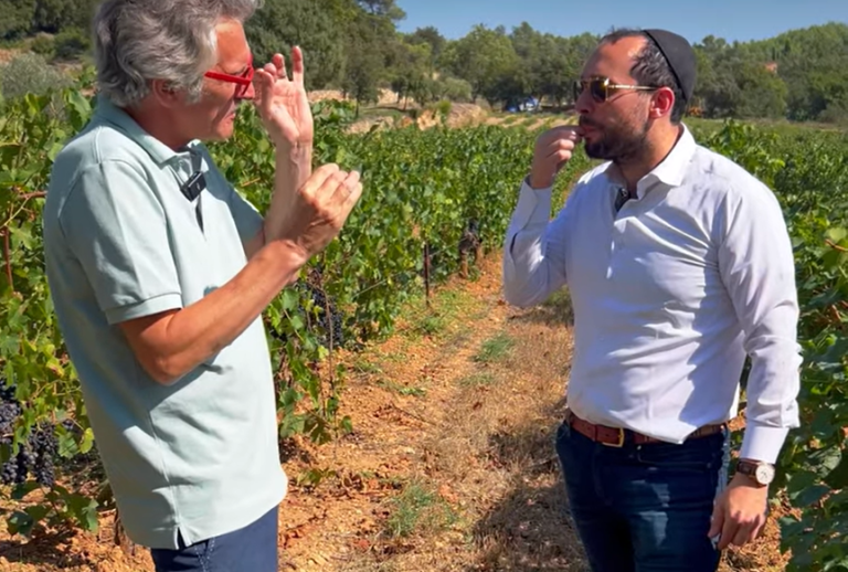 Visiting Clos De Caille in Provence, France