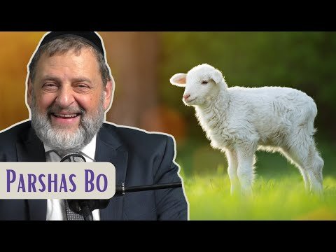 Bo – Slaughter the Idols | Rabbi Dovid Orlofsky