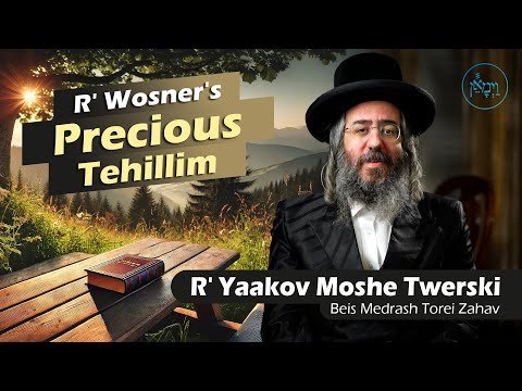 Rav Wosner’s Precious Tehillim | Rabbi Yaakov Moshe Twerski