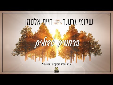 Shloime Gertner & Chaim Altman – Berachamim Gedoilim | שלומי גרטנר & חיים אלטמן – ברחמים גדולים