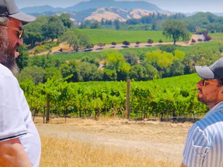 At the Herzog Chalk Hill Vineyard