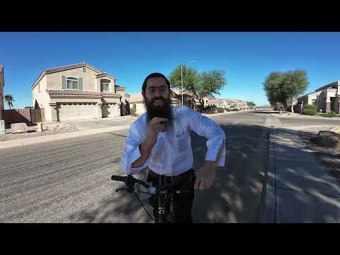 Movement Update! – Lessons From Noach on Building and Belief