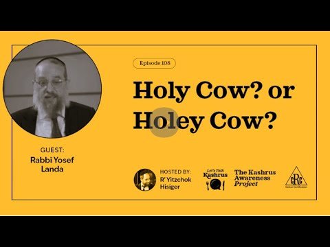 Lets Talk Kashrus Episode 108 – Holy Cow or Holey Cow