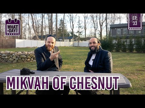די סודות אונטערן מקוה – Mikvah of Chestnut Ridge – Whataday Ep. 33 | Yiddish