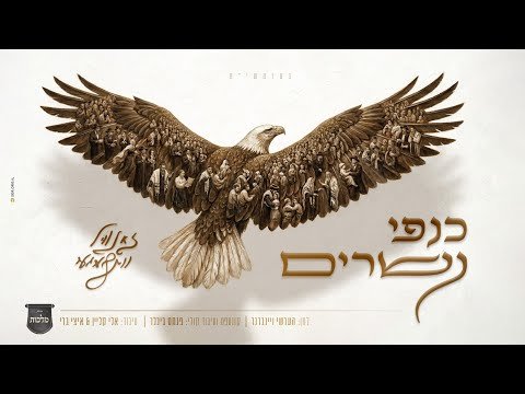זאנוויל ויינברגר – כנפי נשרים | Zanvil Weinberger
