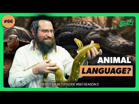 Do We Have a Common Language? | Mendy Baum – Shmuelicast Ep. 66