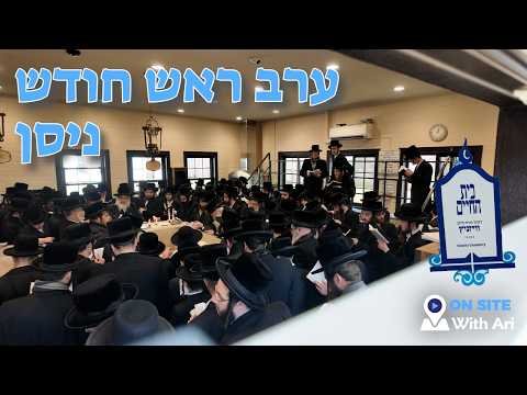Viznitzer Rebbe Zt”l Yahrtzeit #onsitewithari | Yiddish
