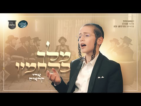 מלך ברחמיו – ארי קראוס, מקהלת מלכות, חסידימלעך | Malchus Choir, Ari Kraus