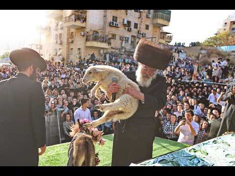 פדיון פטר חמור בבית שמש ערב שבועות פו