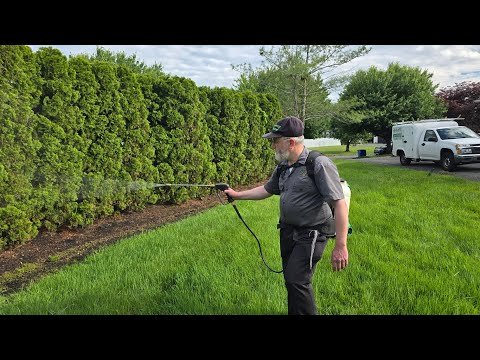 Enjoy Your Backyard All Season Long Without Mosquitoes & Ticks