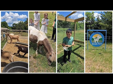 Welcome to Doodle Farm: a Fun Family Spot With Friendly Animals and Interactive Farm Experiences