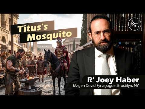 Titus’s Mosquito | Rabbi Joey Haber