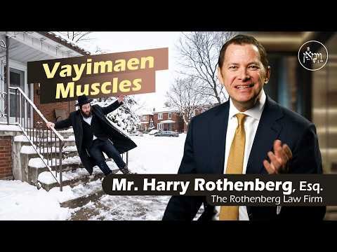 Vayimaen Muscles | Mr. Harry Rothenberg