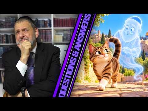 Are All Pets in Israel Gilgulim? Hqdefault